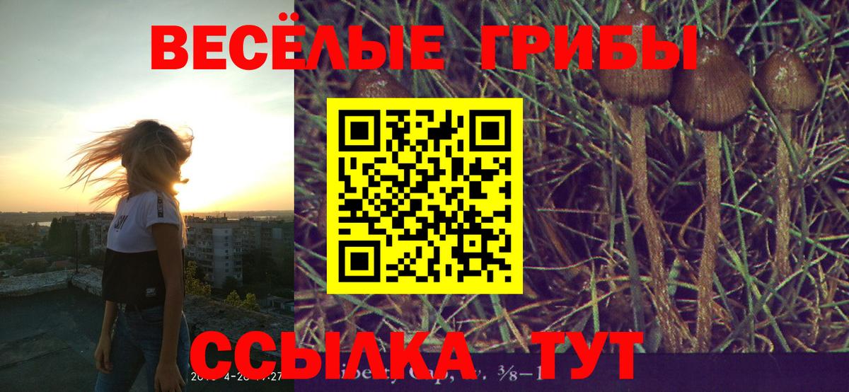 Галлюциногенные грибы ЛСД  Псилоцибиновые грибы Cubensis  Вход с VPN  купить наркотик  Елец 